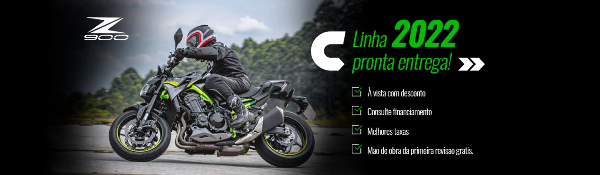 2022 z900