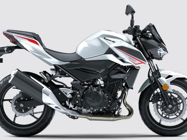 z400 2022 branca site